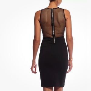 Torn by Ronny kobo Carson fishnet dress